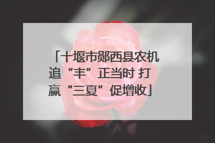 十堰市郧西县农机追“丰”正当时 打赢“三夏”促增收