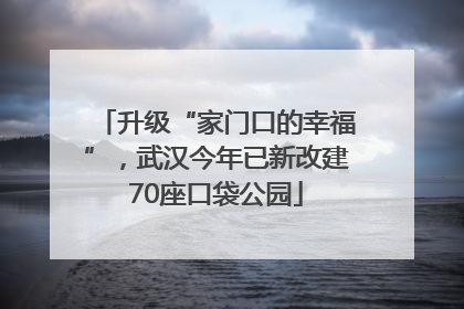 升级“家门口的幸福”，武汉今年已新改建70座口袋公园