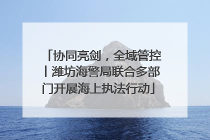 协同亮剑，全域管控丨潍坊海警局联合多部门开展海上执法行动