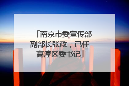 南京市委宣传部副部长张政，已任高淳区委书记