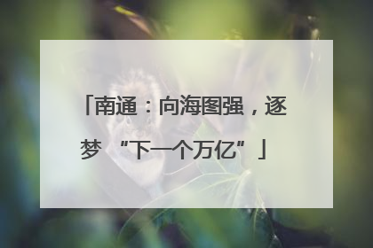 南通：向海图强，逐梦 “下一个万亿”