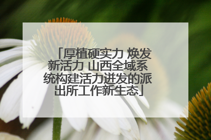 厚植硬实力 焕发新活力 山西全域系统构建活力迸发的派出所工作新生态