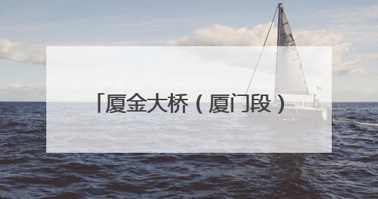 厦金大桥（厦门段）“厦金号”盾构机始发 福建省最大直径盾构隧道正式掘进