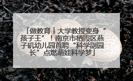 做教育︱大学教授变身“孩子王”！南京市栖霞区燕子矶幼儿园首聘“科学副园长”点燃萌娃科学梦