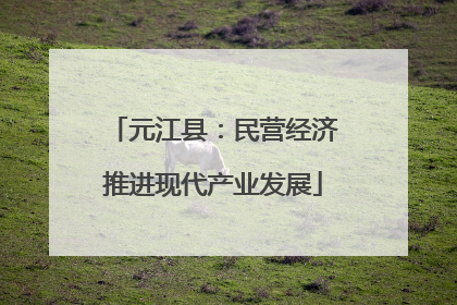 元江县：民营经济推进现代产业发展