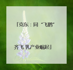 克东：同“飞鹤”齐飞 乳产业崛起