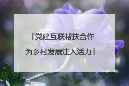 党建互联帮扶合作 为乡村发展注入活力