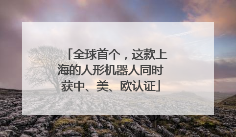 全球首个，这款上海的人形机器人同时获中、美、欧认证
