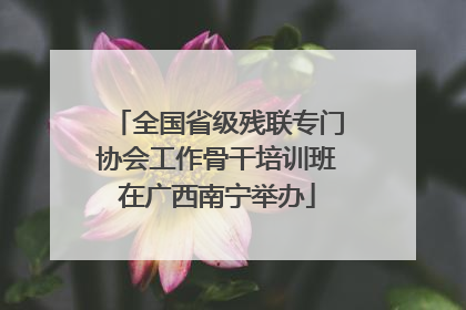 全国省级残联专门协会工作骨干培训班在广西南宁举办