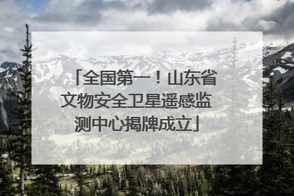 全国第一！山东省文物安全卫星遥感监测中心揭牌成立