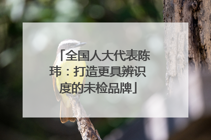 全国人大代表陈玮：打造更具辨识度的未检品牌