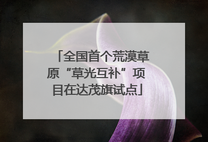 全国首个荒漠草原“草光互补”项目在达茂旗试点