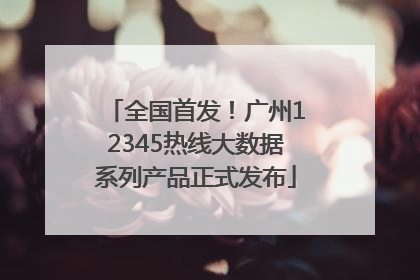 全国首发！广州12345热线大数据系列产品正式发布