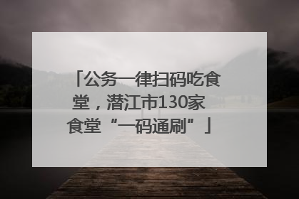 公务一律扫码吃食堂，潜江市130家食堂“一码通刷”