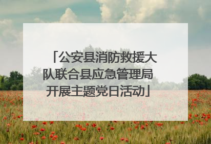 公安县消防救援大队联合县应急管理局开展主题党日活动