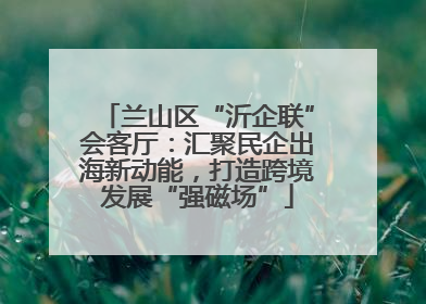 兰山区“沂企联”会客厅：汇聚民企出海新动能，打造跨境发展“强磁场”