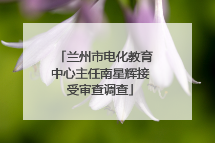 兰州市电化教育中心主任南星辉接受审查调查