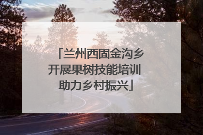 兰州西固金沟乡开展果树技能培训 助力乡村振兴