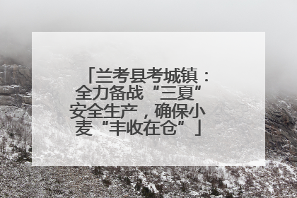 兰考县考城镇：全力备战“三夏”安全生产，确保小麦“丰收在仓”