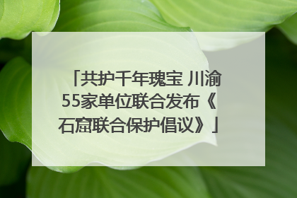 共护千年瑰宝 川渝55家单位联合发布《石窟联合保护倡议》