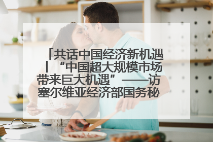 共话中国经济新机遇丨“中国超大规模市场带来巨大机遇”——访塞尔维亚经济部国务秘书尼科利奇