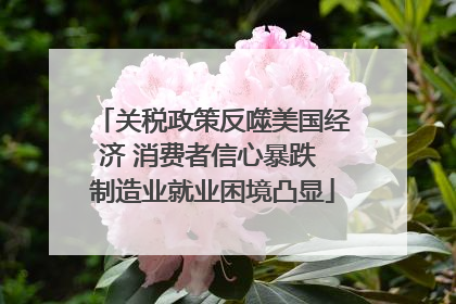 关税政策反噬美国经济 消费者信心暴跌 制造业就业困境凸显