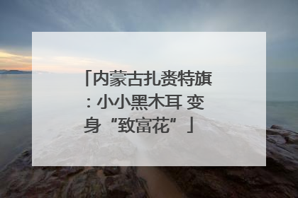 内蒙古扎赉特旗：小小黑木耳 变身“致富花”