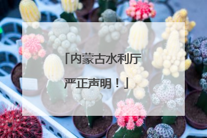 内蒙古水利厅严正声明！