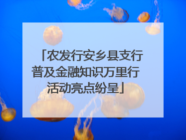 农发行安乡县支行普及金融知识万里行活动亮点纷呈