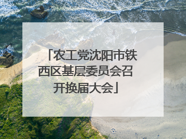 农工党沈阳市铁西区基层委员会召开换届大会