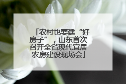 农村也要建“好房子”，山东首次召开全省现代宜居农房建设现场会