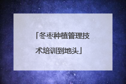 冬枣种植管理技术培训到地头
