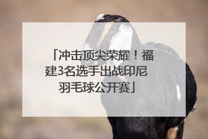 冲击顶尖荣耀！福建3名选手出战印尼羽毛球公开赛
