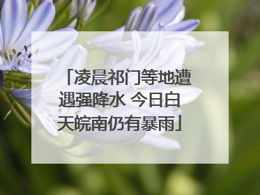 凌晨祁门等地遭遇强降水 今日白天皖南仍有暴雨