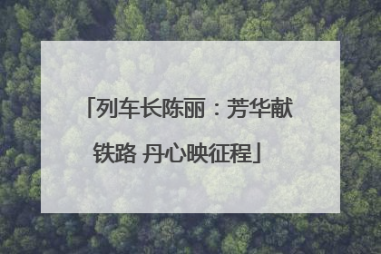 列车长陈丽：芳华献铁路 丹心映征程