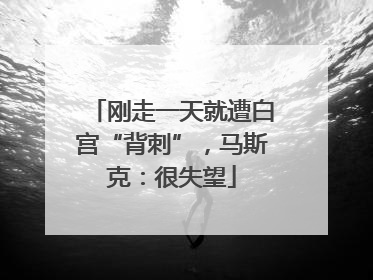 刚走一天就遭白宫“背刺”，马斯克：很失望