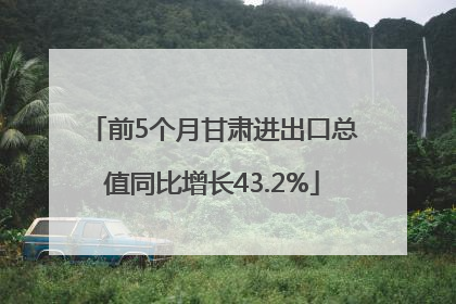 前5个月甘肃进出口总值同比增长43.2%