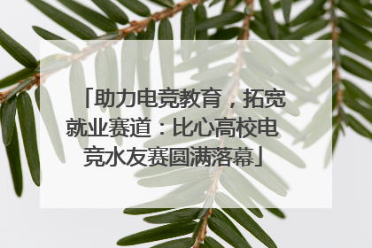 助力电竞教育，拓宽就业赛道：比心高校电竞水友赛圆满落幕