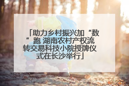助力乡村振兴加“数”跑 湖南农村产权流转交易科技小院授牌仪式在长沙举行