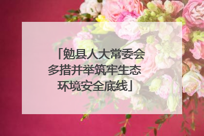 勉县人大常委会多措并举筑牢生态环境安全底线
