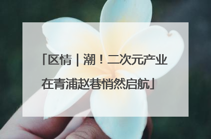 区情｜潮！二次元产业在青浦赵巷悄然启航