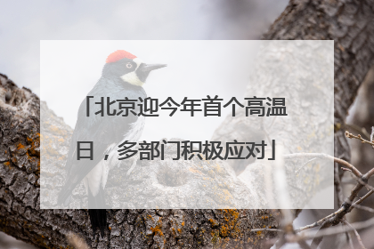 北京迎今年首个高温日，多部门积极应对