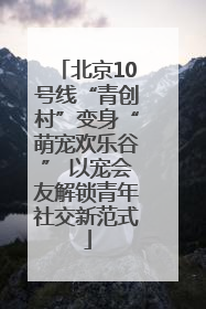北京10号线“青创村”变身“萌宠欢乐谷” 以宠会友解锁青年社交新范式