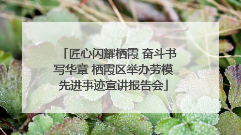 匠心闪耀栖霞 奋斗书写华章 栖霞区举办劳模先进事迹宣讲报告会