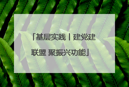 基层实践丨建党建联盟 聚振兴功能