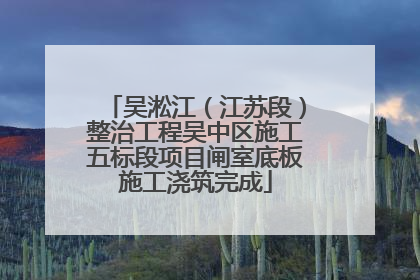 吴淞江（江苏段）整治工程吴中区施工五标段项目闸室底板施工浇筑完成