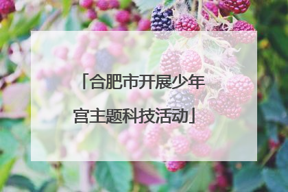合肥市开展少年宫主题科技活动