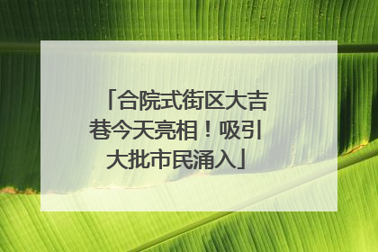 合院式街区大吉巷今天亮相！吸引大批市民涌入