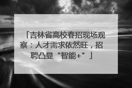 吉林省高校春招现场观察：人才需求依然旺，招聘凸显“智能+”