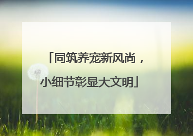 同筑养宠新风尚，小细节彰显大文明